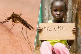 Κονδύλια για ελονοσία. Ο θάνατος τους η ζωή μας!